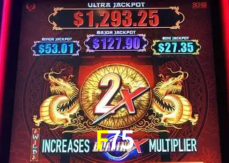 Descubra o Programa VIP da F75: Vantagens Exclusivas para Jogadores